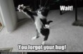 /album/fotogalerij/grappige-kat-jpg/
